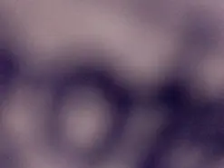 Amateur Nude Webcam of Bersek1