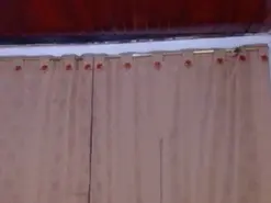 Amateur Free Live Porn of Candy_Kruhs
