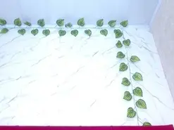 Amateur Adult Video Chat of amandacanelacm