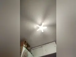 Amateur Live Sex Cam of Mimidulce