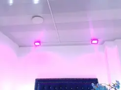 Amateur Watch Live Sex Cams of Leia_laurent