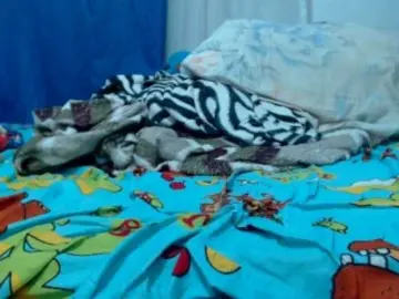 Bongacams Sex Cam of valak133
