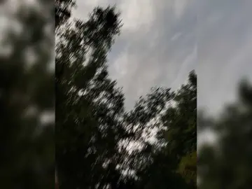 Bongacams Sex Cam of 2Laski2