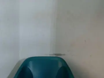 Bongacams Best Webcam of Sugarxpussy