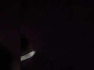 Bongacams Private Sex Chat of XXhornywetprincess99XX