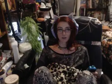 Bongacams Adult Webcam of pussyxpaladin