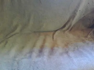 Bongacams Watch Live Sex Cams of Stasja1
