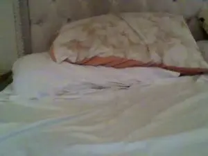 Cam4 Best Webcam of estet11