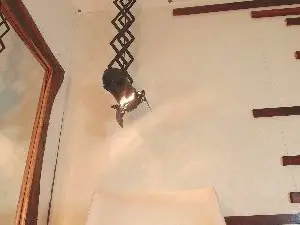 Cam4 Live Sex of Mallory