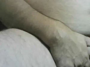 Cam4 Adult Webcams of Olivodiego