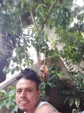 Cam4 Live Porn of buscomaduroact2