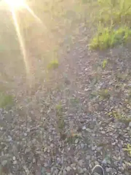 Cam4 Free Porn Cam of No_Name82XxX
