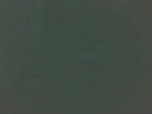 Cam4 Adult Video Chat of boost2469