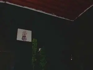 Cam4 Best live sex cam show of brandi_bae1