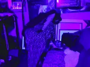 Cam4 Sex Chat of blindsurfer