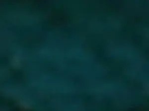 Cam4 Nude Webcam of _Michell69