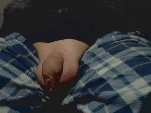 Cam4 Adult Webcams of Digitor23