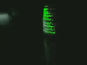 Cam4 Private Sex Chat of tiny1999