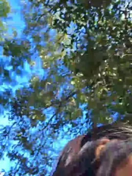 Cam4 Adult Webcam of Mssady