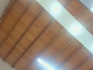 Cam4 Live Porn of Linda_Rouss