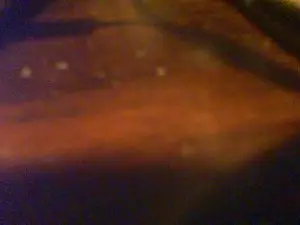 Cam4 Adult Webcam of allblond1