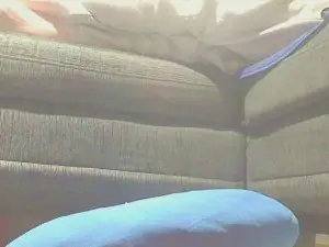 Cam4 Free Porn Cam of chasy56