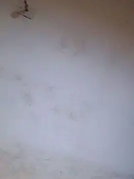 Cam4 Live Sex Cam of RODRIGOPASIO