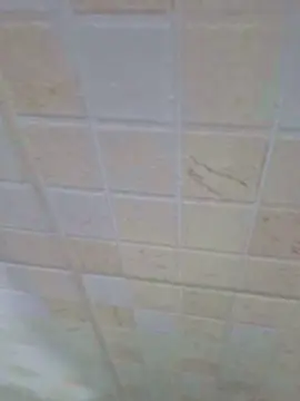Cam4 Live Sex Cam of Escondidosempre