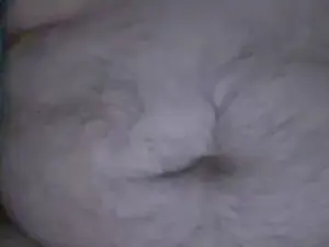 Cam4 Sex Cam of caliente865