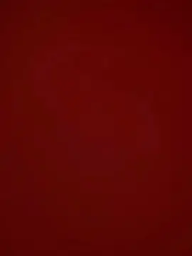 Cam4 Live Sex of naaysousaa