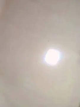 Cam4 Sex Cam of Fenixxzzzxx
