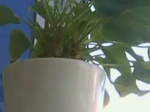 Cam4 Live Porn of submb64