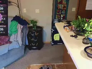 Cam4 Live Sex of MikeSpyke