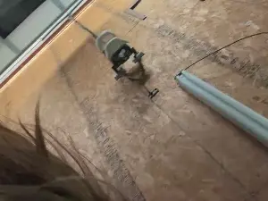 Cam4 Free Porn Cam of StudlyHardwood