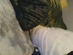Cam4 Sex Chat of Miller1996