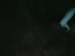 Cam4 Sex Cam of Viciosilla85