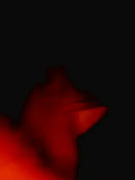Cam4 Watch Live Sex Cams of Viciosilla85