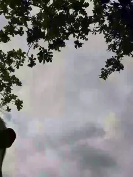 Cam4 Live Sex of jobedelights