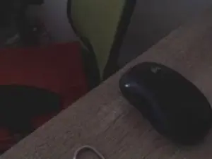 Cam4 Free Porn Cam of reifedame59