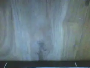 Cam4 Live Sex Cam of centjjoseph