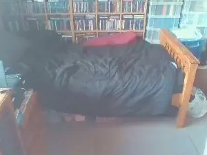Cam4 Live Porn of mojitosguy