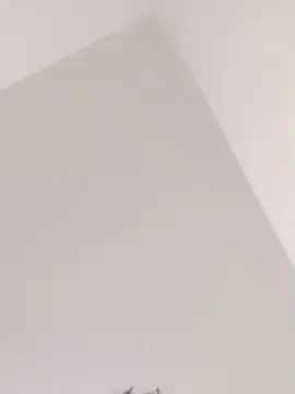 Cam4 Live Sex of Novinpauz