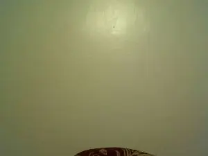 Cam4 Live Sex Cam of Ebony_slut69_
