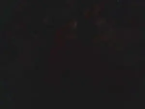 Cam4 Best live sex cam show of lishrimpdick