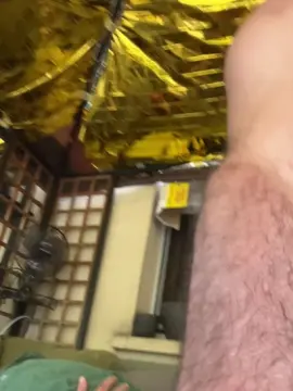Cam4 Best live sex cam show of cho54_fun