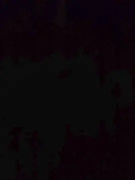 Cam4 Free Porn Cam of fflorecita