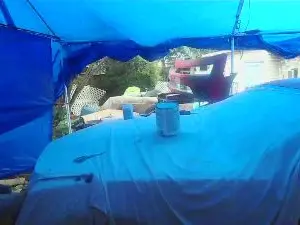 Cam4 Sex Chat of Get_jiggy69