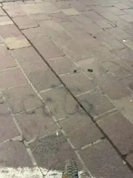 Cam4 Sex Cam of Laoquedad