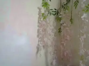 Cam4 Adult Webcam of ElenaVibe2