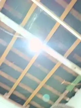 Cam4 Live Porn of cachorrosolto1